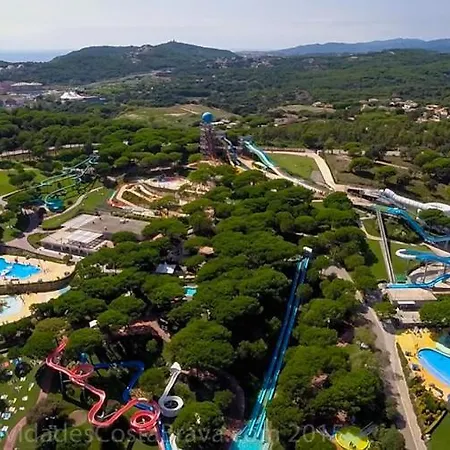 Studio Narcis Macia Lloret de Mar